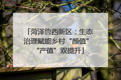 菏泽鲁西新区：生态治理赋能乡村“颜值”“产值”双提升