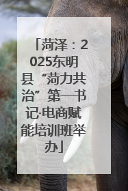 菏泽：2025东明县“菏力共治”第一书记·电商赋能培训班举办