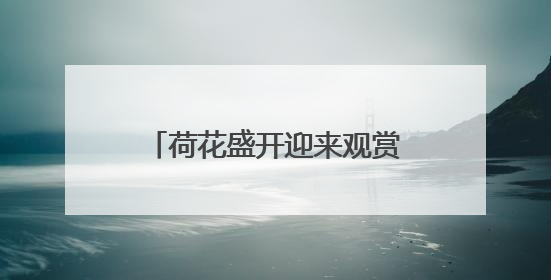 荷花盛开迎来观赏期！济南这12处赏花地你可知？
