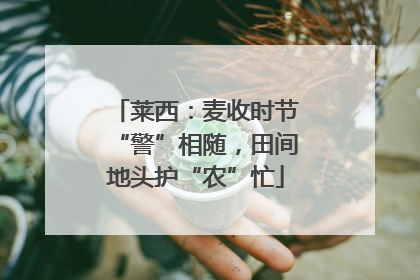 莱西：麦收时节“警”相随，田间地头护“农”忙