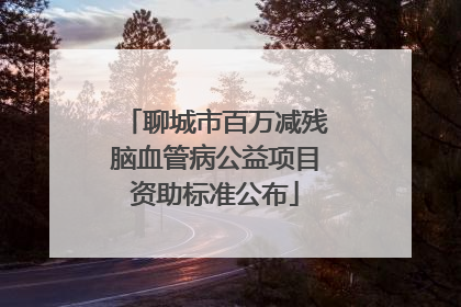 聊城市百万减残脑血管病公益项目资助标准公布