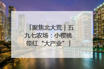 聚焦北大荒｜五九七农场：小樱桃带红“大产业”