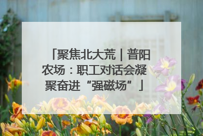 聚焦北大荒｜普阳农场：职工对话会凝聚奋进“强磁场”