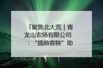 聚焦北大荒｜青龙山农场有限公司：“插前寄秧”助力农业节本增效