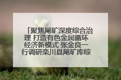 聚焦尾矿深度综合治理 打造有色金属循环经济新模式 张金良一行调研栾川县尾矿库综合治理工作