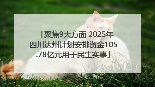 聚焦9大方面 2025年四川达州计划安排资金105.78亿元用于民生实事