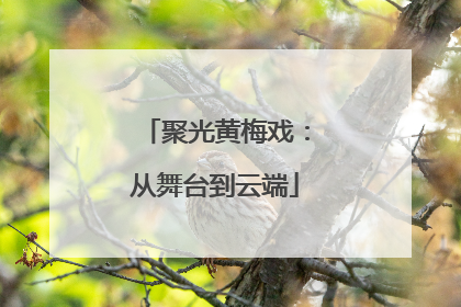 聚光黄梅戏：从舞台到云端