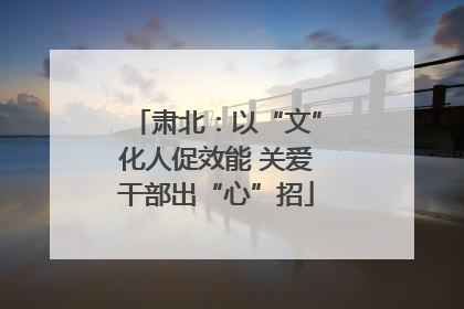 肃北：以“文”化人促效能 关爱干部出“心”招