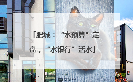 肥城：“水预算”定盘，“水银行”活水