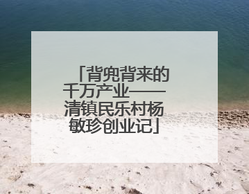 背兜背来的千万产业——清镇民乐村杨敏珍创业记