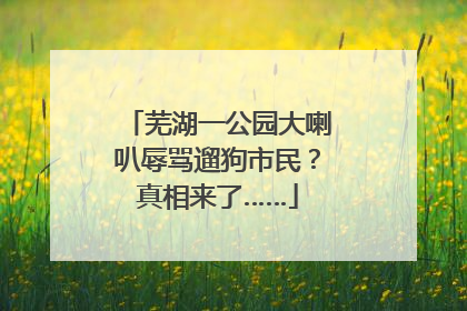 芜湖一公园大喇叭辱骂遛狗市民？真相来了……