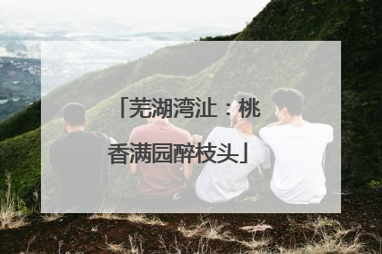芜湖湾沚：桃香满园醉枝头