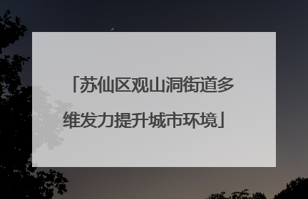 苏仙区观山洞街道多维发力提升城市环境