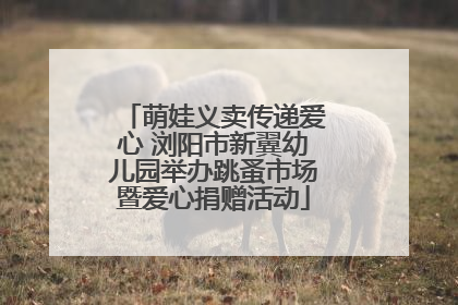 萌娃义卖传递爱心 浏阳市新翼幼儿园举办跳蚤市场暨爱心捐赠活动