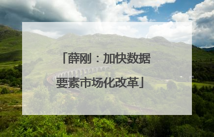 薛刚：加快数据要素市场化改革
