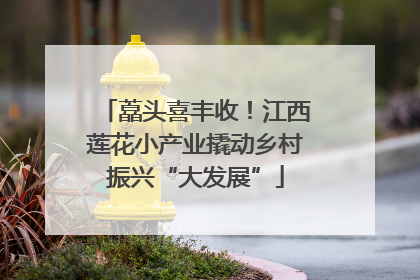 藠头喜丰收！江西莲花小产业撬动乡村振兴“大发展”
