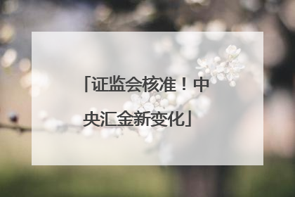 证监会核准！中央汇金新变化