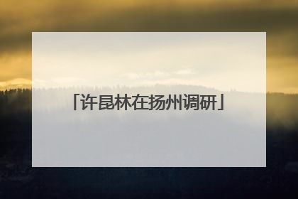许昆林在扬州调研