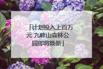 计划投入上百万元 九峰山森林公园即将焕新