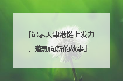 记录天津港链上发力、蓬勃向新的故事