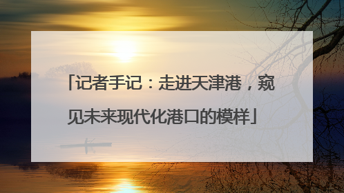 记者手记：走进天津港，窥见未来现代化港口的模样
