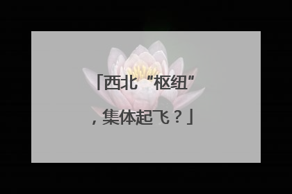 西北“枢纽”，集体起飞？