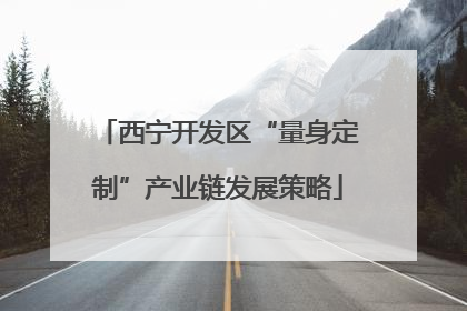西宁开发区“量身定制”产业链发展策略