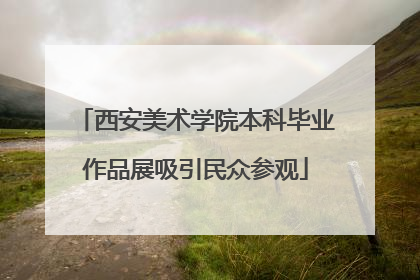 西安美术学院本科毕业作品展吸引民众参观