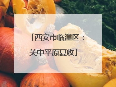 西安市临潼区：关中平原夏收