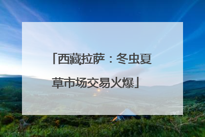 西藏拉萨：冬虫夏草市场交易火爆