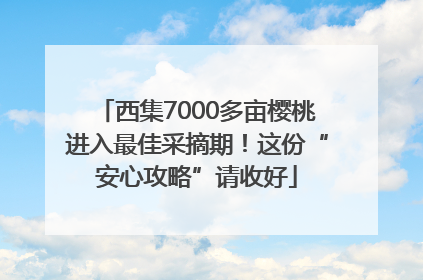 西集7000多亩樱桃进入最佳采摘期！这份“安心攻略”请收好