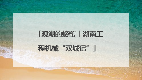 观潮的螃蟹丨湖南工程机械“双城记”