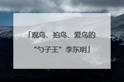 观鸟、拍鸟、爱鸟的“勺子王”李东明
