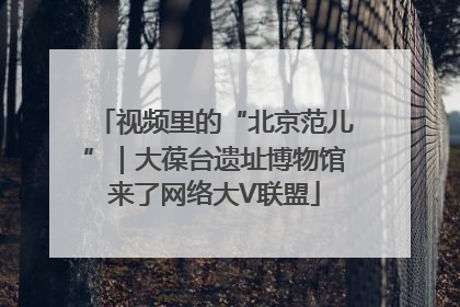 视频里的“北京范儿”｜大葆台遗址博物馆来了网络大V联盟