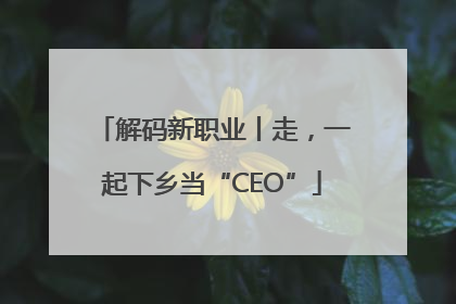 解码新职业丨走，一起下乡当“CEO”