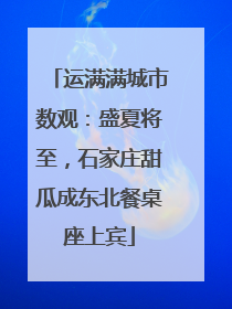 运满满城市数观：盛夏将至，石家庄甜瓜成东北餐桌座上宾