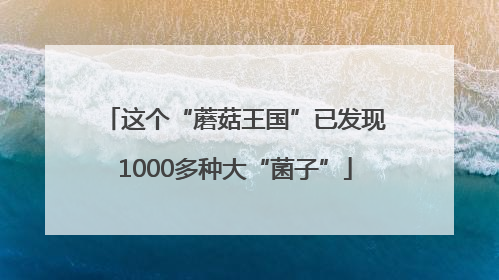 这个“蘑菇王国”已发现1000多种大“菌子”
