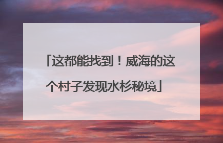 这都能找到！威海的这个村子发现水杉秘境
