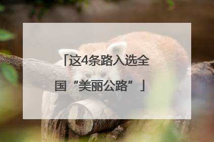 这4条路入选全国“美丽公路”