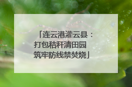 连云港灌云县：打包秸秆清田园 筑牢防线禁焚烧