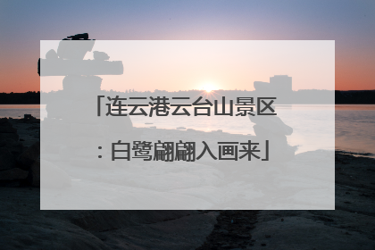 连云港云台山景区：白鹭翩翩入画来