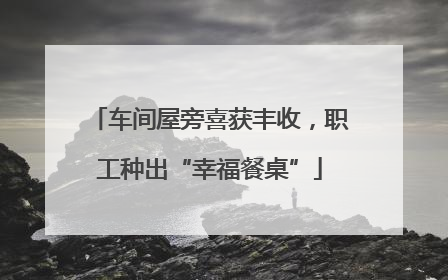 车间屋旁喜获丰收，职工种出“幸福餐桌”
