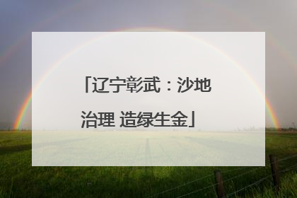 辽宁彰武：沙地治理 造绿生金