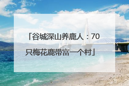 谷城深山养鹿人：70只梅花鹿带富一个村