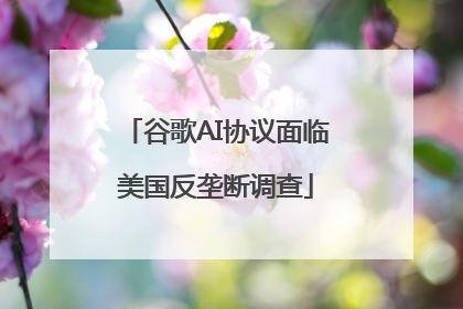 谷歌AI协议面临美国反垄断调查