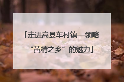 走进嵩县车村镇—领略“黄精之乡”的魅力