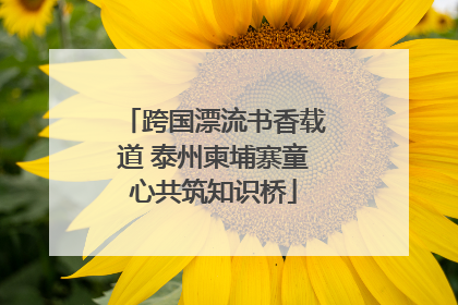 跨国漂流书香载道 泰州柬埔寨童心共筑知识桥