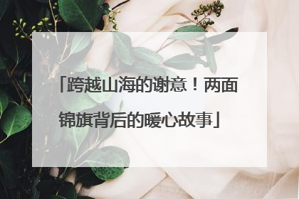 跨越山海的谢意！两面锦旗背后的暖心故事