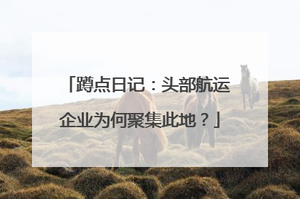 蹲点日记：头部航运企业为何聚集此地？