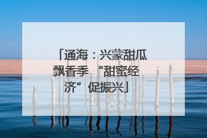 通海：兴蒙甜瓜飘香季 “甜蜜经济”促振兴